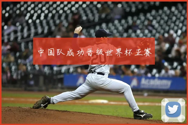 中国队成功晋级世界杯正赛