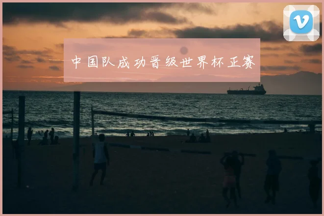 中国队成功晋级世界杯正赛